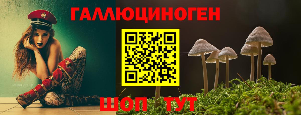 Реутов  купить наркотики цена  Вход с VPN  Галлюциногенные грибы прущие грибы 