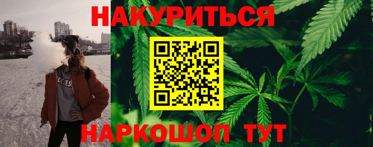 Бошки Шишки план Реутов